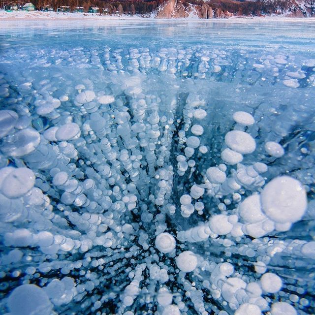 Il metano come non lo avete mai visto 🤓⁠
La fine dell'Era Glaciale, 12 mila anni fa, con il ritiro dei ghiacci, provocò massicce emissioni di metano 💨 da strutture disseminate sul fondale nell'Oceano Artico. Un fenomeno che potrebbe ripetersi oggi, a causa del riscaldamento globale 🥵.⁠
⁠La foto mostra bolle di metano ghiacciate ❄️🥶 durante la risalita nel Lago Baikal (Russia), il più grande (per volume), il più vecchio e il più profondo lago del mondo, Patrimonio dell'Umanità. Il lago è anche un magazzino naturale di metano che, se rilasciato, provocherebbe un ulteriore peggioramento dell'effetto serra atmosferico e un aumento della temperatura 🌡 media della Terra 🌏. Al momento, per fortuna, il rilascio è graduale e l'impatto non è quindi così significante.⁠
⁠>🔴⁠
La foto è stata scattata lo scorso inverno e selezionata per l'Astronomy Picture of the Day, il servizio di NASA e della Michigan Technological University, che pubblica ogni giorno 