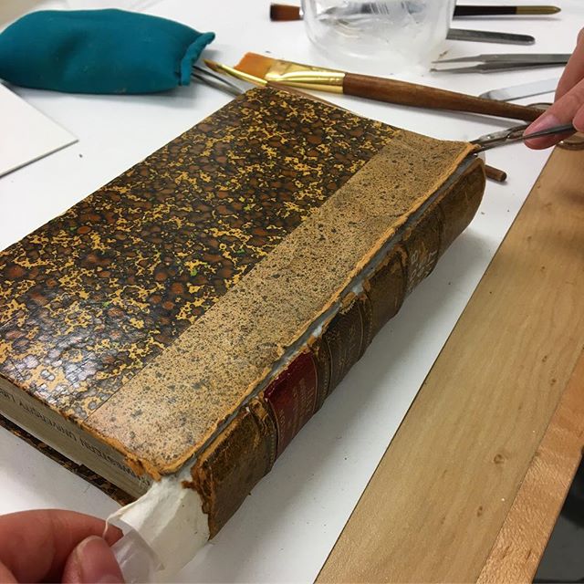 Our department is quite industrious on this Friday. Here’s a sampling of the very exciting things happening: 
Relining and reattaching a sad spine; photo documentation for outgoing loans; housing a pile of concert program; PEM2 surgery; mending a hinge with cool geometric endpapers; and putting some small posters in L-sleeves. BAM. 
_________
#allthethings #librarypreservation #libraryconservation #bookrepair #bookconservation #environmentalmonitoring #exhibits #sunra #preventiveconservation.